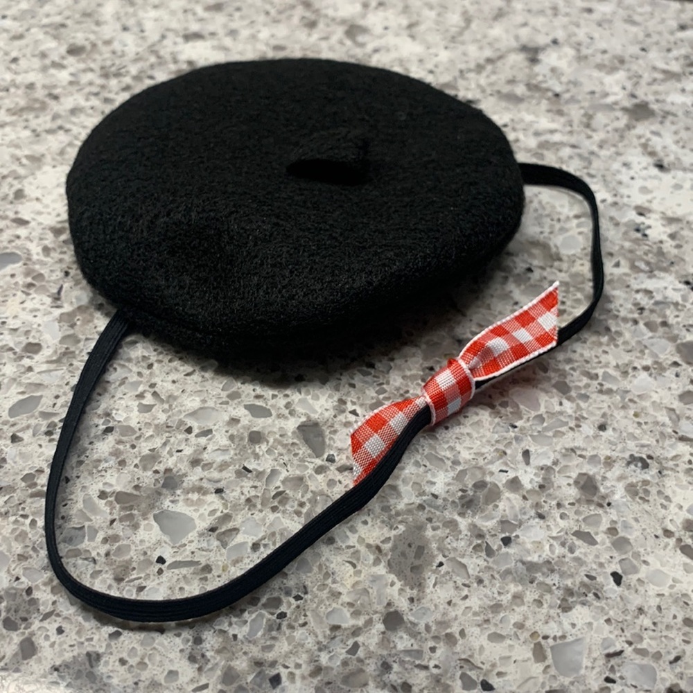Dog 🐶👩‍🎨🇫🇷 Beret from France for a dog, cat, iguana, or ferret!